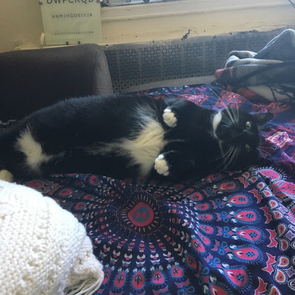 Meet your Posher, Rebecca - Picture 1 of 1